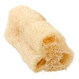 Sementes De Bucha Ou Esponja Vegetal - 5 Envelopes