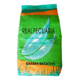 Sementes De Grama Batatais (1 Kg)