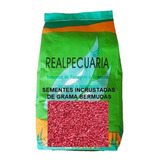 Sementes De Grama Bermudas - 1 Kg (semente Incrustada)