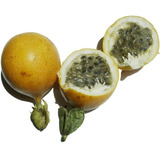 Sementes De Granadilha O Maracujá +doce Passiflora Ligularis