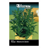 Feltrin
