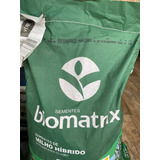 Sementes De Milho Verde Híb. Biomatrix 3066 Vt Pro2