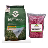 Sementes De Milho Verde Híb. Biomatrix 3066 Vt Pro3 - 2 Kg