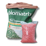 Sementes De Milho Verde Híb. Biomatrix 3066 Vt Pro3 - 2 Kg