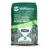 Sementes De Milho Verde Híb. Biomatrix 3066 Vt Pro3 - 5 Kg