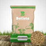 Sementes De Pastagem Decumbens Cv Basilisk 10kg