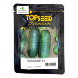 Sementes De Pepino Híbrido Concord F1 C/ 1.000 Sementes