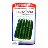 Sementes De Pepino Japones Hib. Tsuyataro C/ 1.050 Sementes