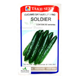 Sementes De Pepino Japonês Híbrido Soldier Com 350 Sementes