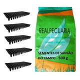 Bandejas