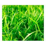 500g