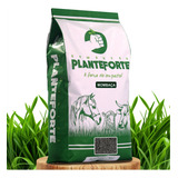 Sementes Plante Forte Forrageira Tradicionais 10kg