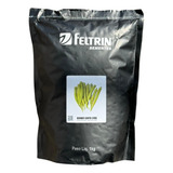 Feltrin