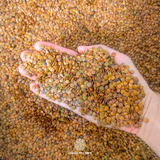 Sementes Selecionadas De Sansão Do Campo Frete Grátis (2 Kg)