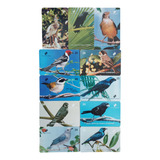 Série Aves Da Fauna Cearense Cartões