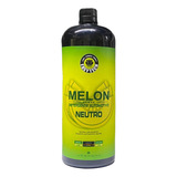 Shampoo 1:400 Melon Concentrado 1,2l Neutro