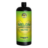 Shampoo 1:400 Melon Concentrado 1,5l Neutro