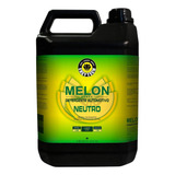 Shampoo 1:400 Melon Concentrado 5l Neutro