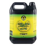 Shampoo 1:400 Melon Concentrado 5l Neutro