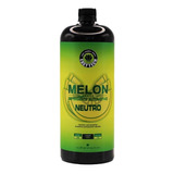 Shampoo Automotivo Melon Neutro 1500ml Easytech