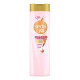 Seda