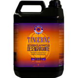 Shampoo Desengraxante Lavagem Tangerine 5l Easytech