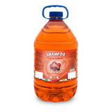 Shampoo Limpeza Profunda Profissional Caes E Gatos Catdog 5l