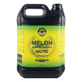 Shampoo Melon 1:400 Concentrado 5l Ph Neutro Easytech
