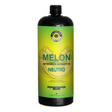 Shampoo Melon Neutro Lava Auto Snow