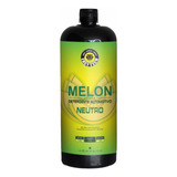 Shampoo Neutro Lava Auto 1:400 Melon 1500ml Easytech