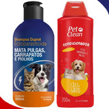 Pet