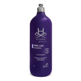 1l