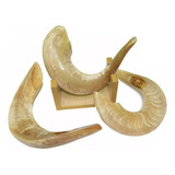 Suporte