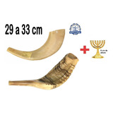 Shofar Chifre De Carneiro De Tocar + Brindes - De Israel