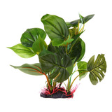 Decoração