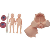 Umbilical