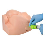 Simulador Para Injeção Intramuscular No Glúteo E Sonda Retal