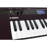 Midi