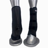 Cavalos