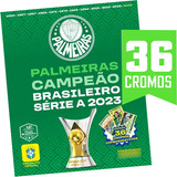 Sociedade Esportiva Palmeiras: Pôster Campeão Brasileirão