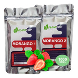 Solução Nutritiva Para Hidroponia Morango 1000