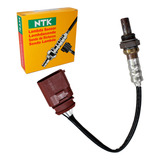 Ntk