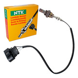 Ntk