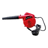220v