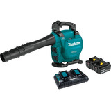 220v