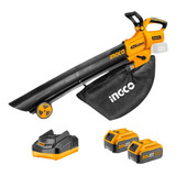 Bivolt