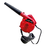 110v