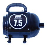 220v