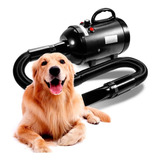 Soprador Secador 3200w Profissional Banho Tosa Gato Cachorro