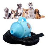 Soprador Secador Pet / Petshop / Banho E Tosa / Azul